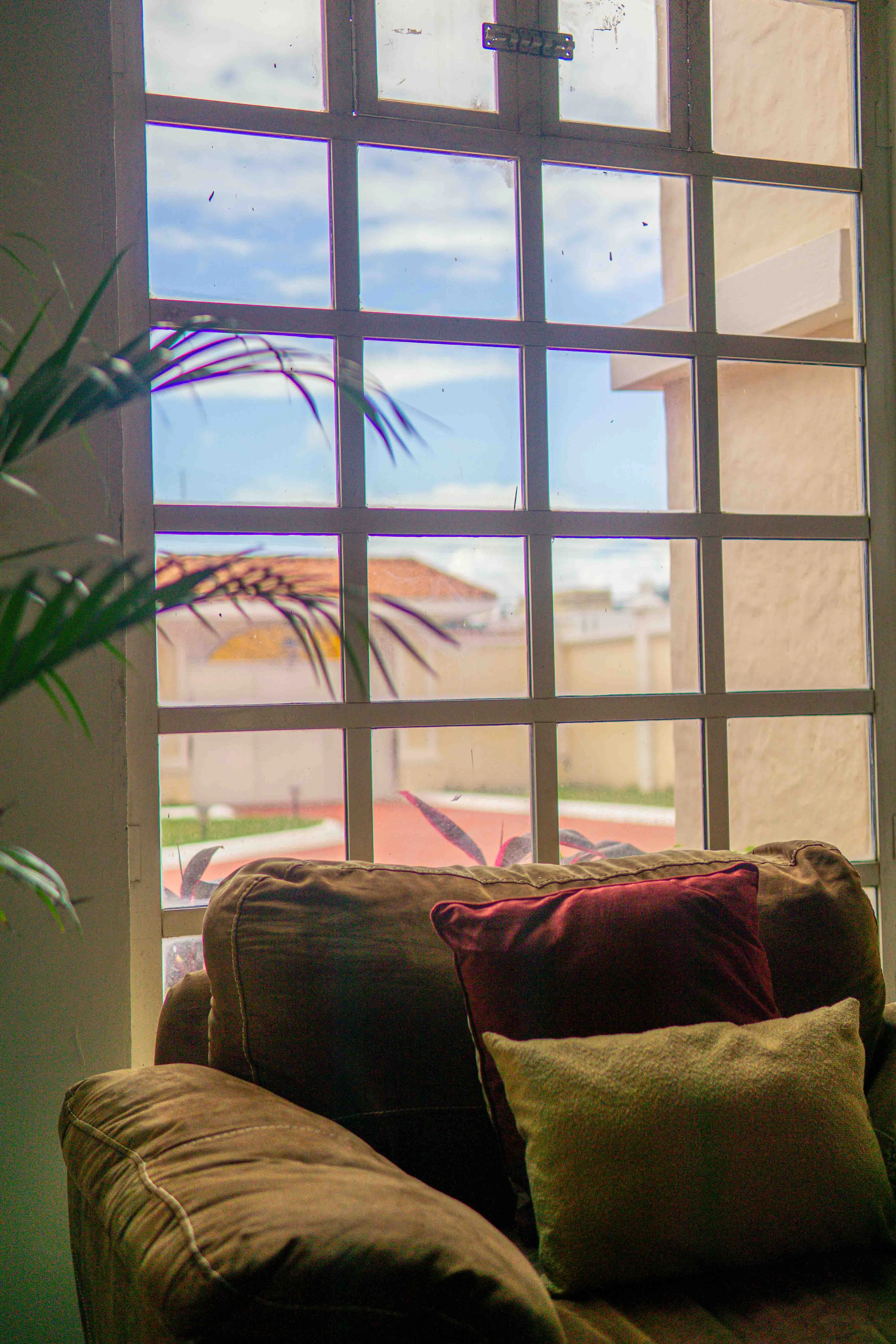 Vida y cuidado en Estancia Las Aves 7